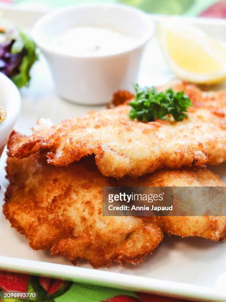 crispy golden fried fish on plate, close up - halibut stock pictures, royalty-free photos & images