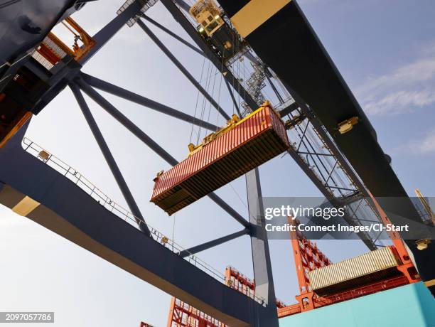 crane lowering cargo container - felixstowe stock pictures, royalty-free photos & images