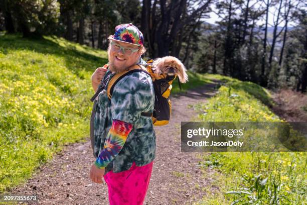 happy man with a pekingese - pekingese stock pictures, royalty-free photos & images