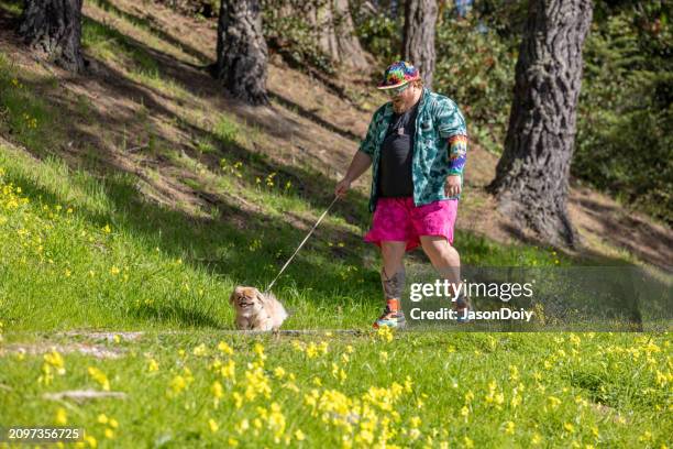 happy man with a pekingese - pekingese stock pictures, royalty-free photos & images