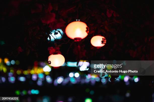 colorful lanterns hanging on a tree in hoi an - hanoi cityscape stock pictures, royalty-free photos & images