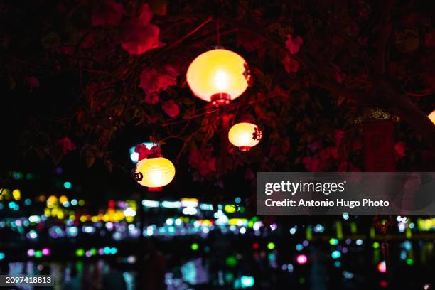 colorful lanterns hanging on a tree in hoi an - hanoi cityscape stock pictures, royalty-free photos & images