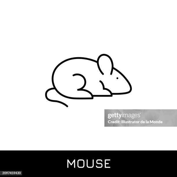 mouse, rat, hamster single line icon design - hamster cage stock illustrations