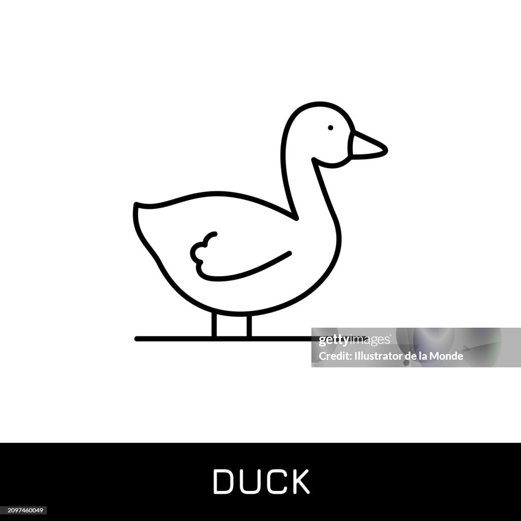 Duck Editable Stroke Vector Line Icon.