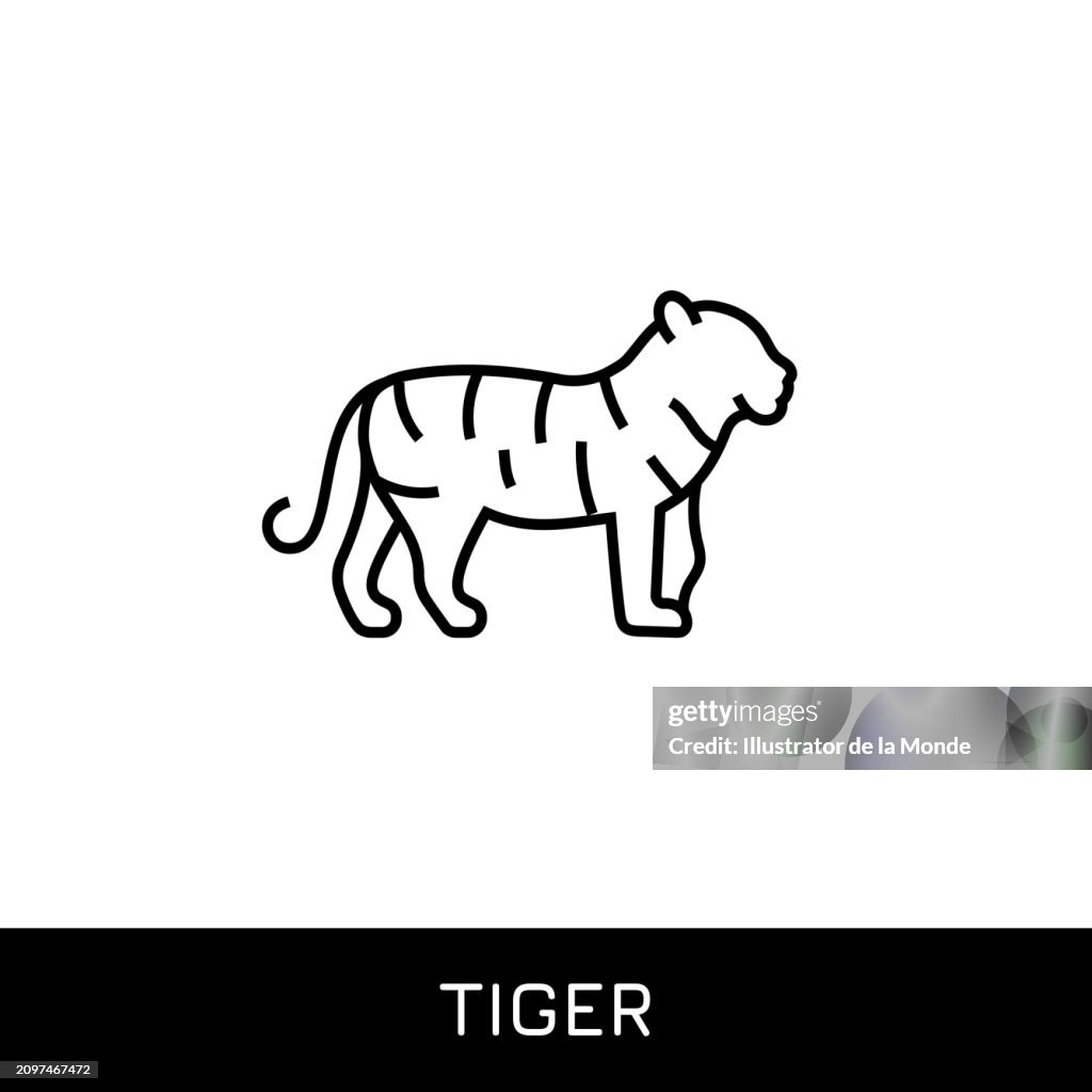 Tiger Single Line Icon Design