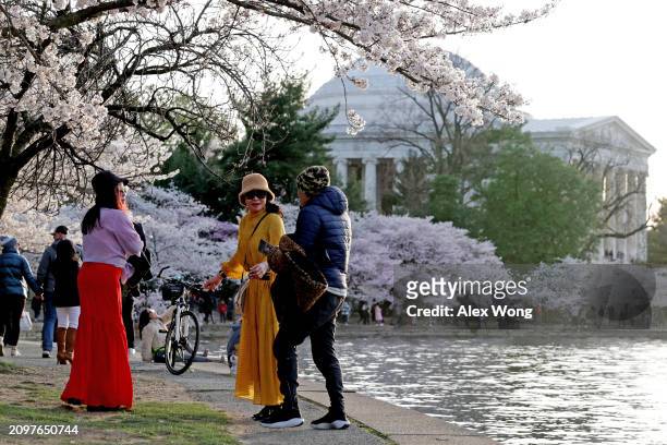 Visitors enjoy cherry trees in full bloom at the Tidal Basin on March 19, 2024 in Washington, DC. The National Park Service announced that it will...