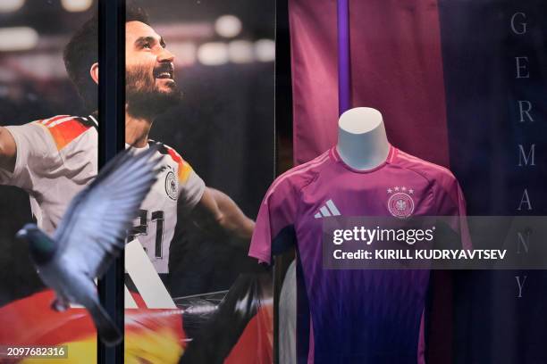 Germany's national team jerseys made by Adidas are pictured in official store on March 22, 2024 in Frankfurt am Main, western Germany ahead German...