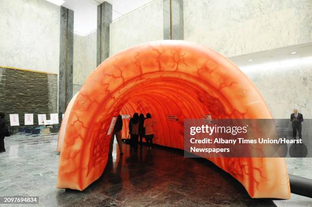 People walk through a large model of a section of a human colon on display in the well of the Legislative Office Building on Tuesday, March 11, 2014...