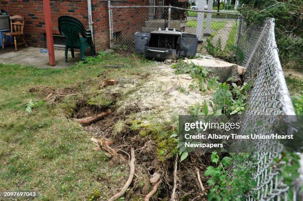 View of the stump of of a large tree which cracked and the roots were lifted up out of the ground as the tree fell on the home of Rachel Lewis and...