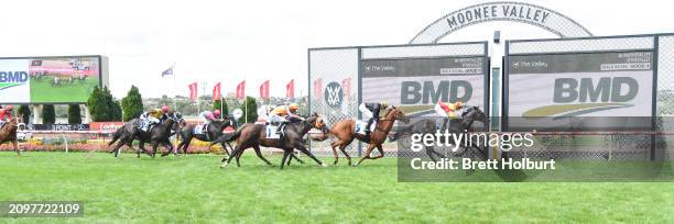 Eternal Flame ridden by Ethan Brown wins the BMD Group Sunline Stakes at Moonee Valley Racecourse on March 23, 2024 in Moonee Ponds, Australia.