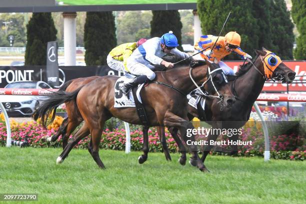 Antrim Coast ridden by Michael Dee wins the DCE Alister Clark Stakes at Moonee Valley Racecourse on March 23, 2024 in Moonee Ponds, Australia.