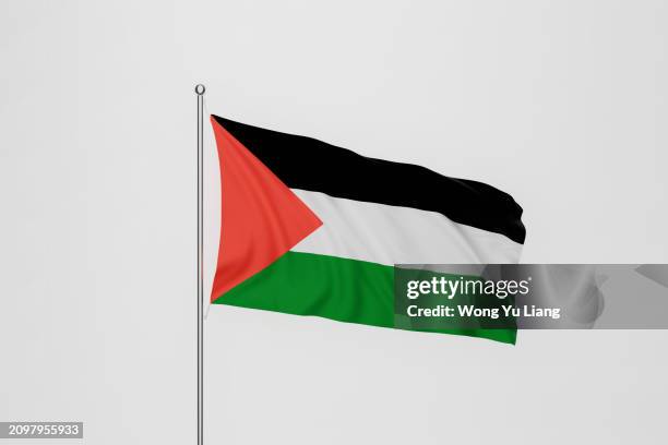 palestine flag , on white background - palestijnse vlag stockfoto's en -beelden