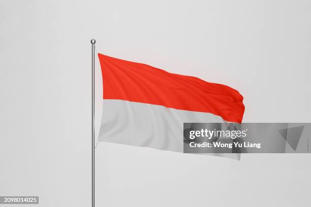 indonesia flag on white background - indonésia imagens e fotografias de stock