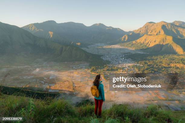 woman standing on viewpoint after hike near mount rinjani on lombok - mount rinjani 個照片及圖片檔