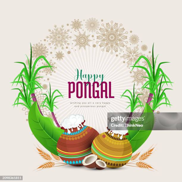 happy pongal festival - sugarcane farm stock illustrations