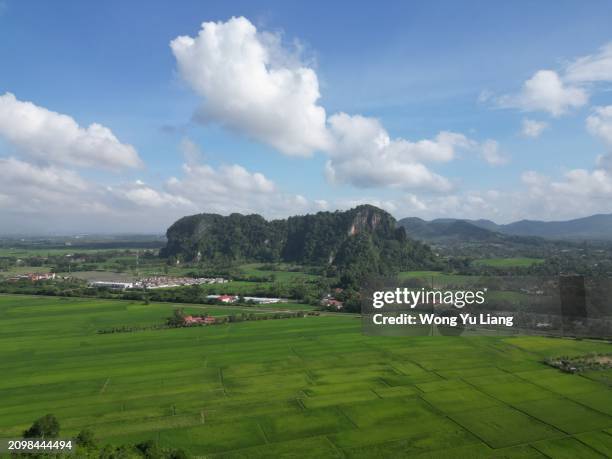 bukit mok cun - mok stock pictures, royalty-free photos & images