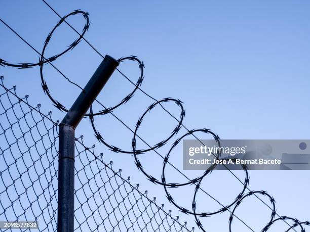 close-up of metal fence with barbed wire over a blue sky. - survival stock pictures, royalty-free photos & images