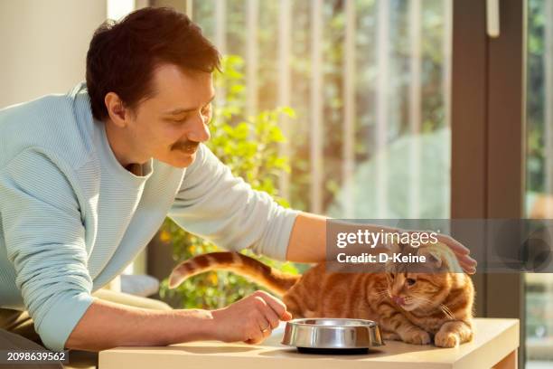 homme avec un chat - nourrir photos et images de collection