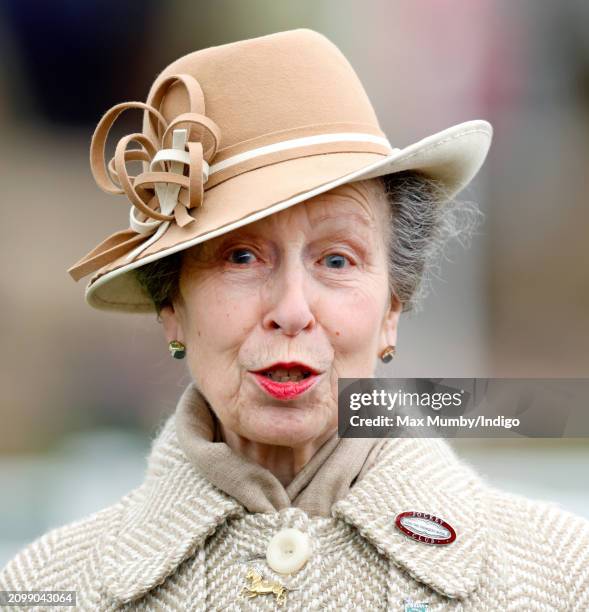 Princess Anne, Princess Royal attends day 2 'Style Wednesday' of the Cheltenham Festival at Cheltenham Racecourse on March 13, 2024 in Cheltenham,...