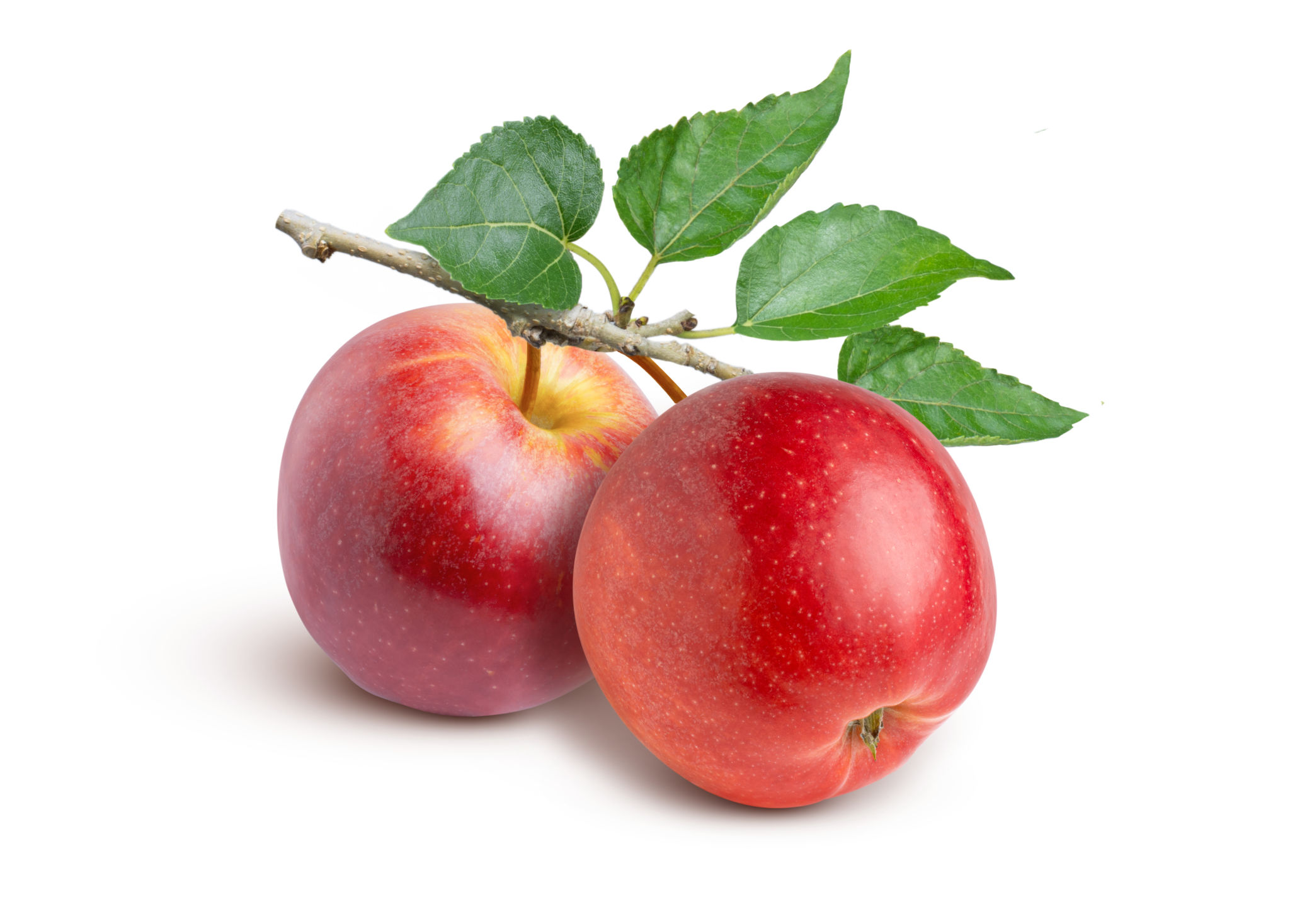 Red apple on white background. Red apple on white background.