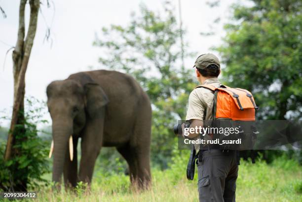 way kambas national reserve sumatra, fotograf fotografiert elefanten im wald - national wildlife reserve stock-fotos und bilder