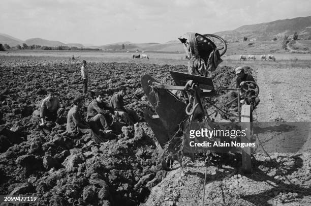 Ouvriers agricoles algériens entrain de labourer la terre avec des moyens mécaniques, près de Mirabeau, région montagneuse de La Kabylie en Algérie,...