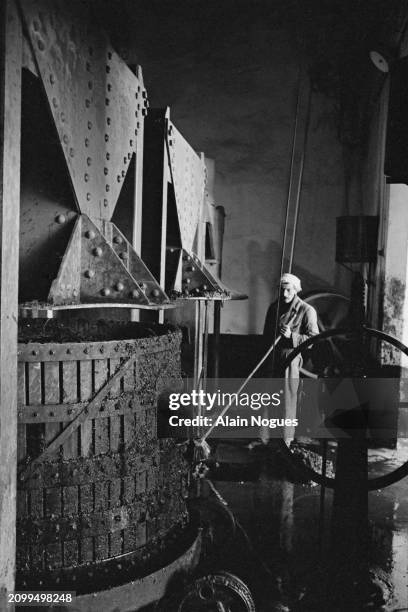 Travailleur agricole algérien pendant la fabrication du vin, près de Médéa, 1964.