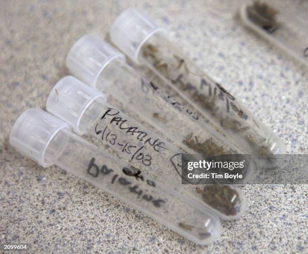 Vectest Photos and Premium High Res Pictures - Getty Images