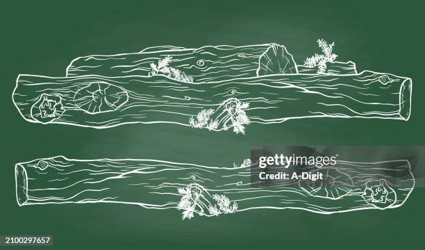 ilustrações de stock, clip art, desenhos animados e ícones de logs forest trees lying chalkboard - tronco de árvore