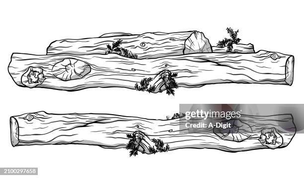 baumstämme waldbäume liegende skizze - holzstamm stock-grafiken, -clipart, -cartoons und -symbole
