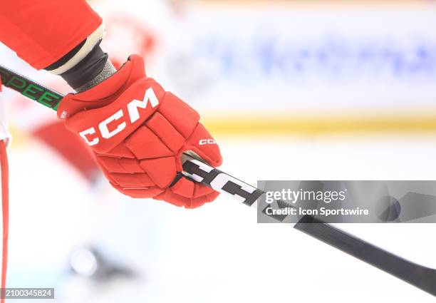 Glove in the colors of the Detroit Red Wings is shown prior to the NHL game between the Nashville Predators and Detroit Red Wings, held on March 23...