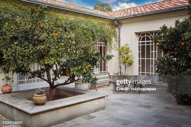 colonial style interior patio - fruit tree backyard stock pictures, royalty-free photos & images