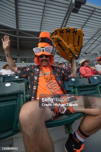 Of the San Francisco Giants in the stands during a spring training game against the Oakland Athletics at HoHoKam Stadium on February 28, 2024 in...