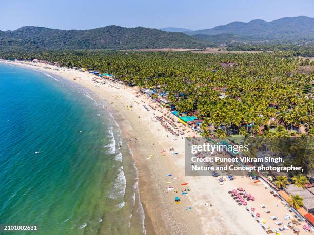 vibrant beach landscape of south goa with hills and palm trees in bright sunny day. shot taken near palolem, south goa, india. - goa stock pictures, royalty-free photos & images