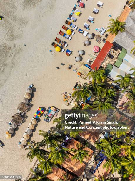 an abstract drone shot of palolem beach in canacona, south goa, india showing sunlounger chairs and palm trees - goa stock pictures, royalty-free photos & images