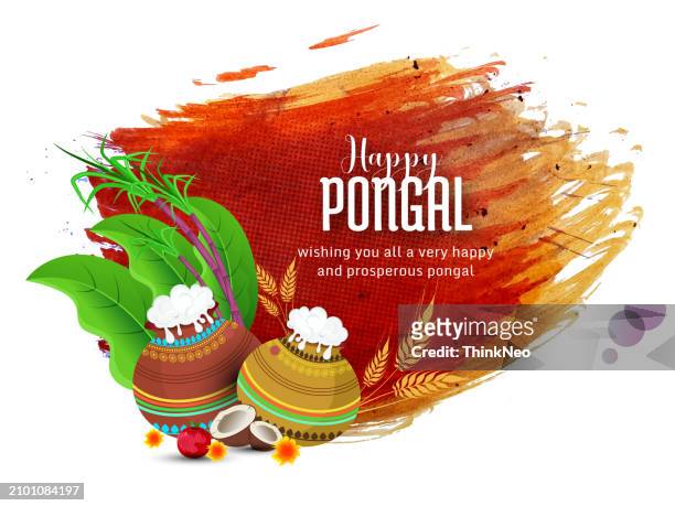 illustrations, cliparts, dessins animés et icônes de happy pongal greeting background - earthenware