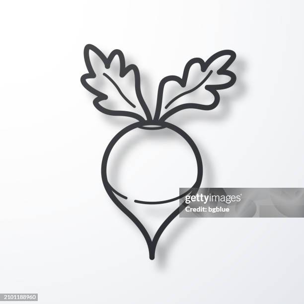 radish. line icon with shadow on white background - crucifers stock illustrations