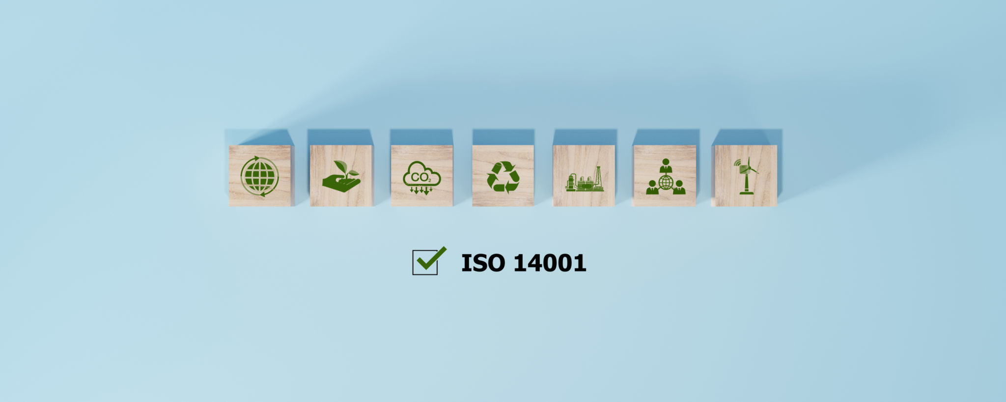 carbon audit