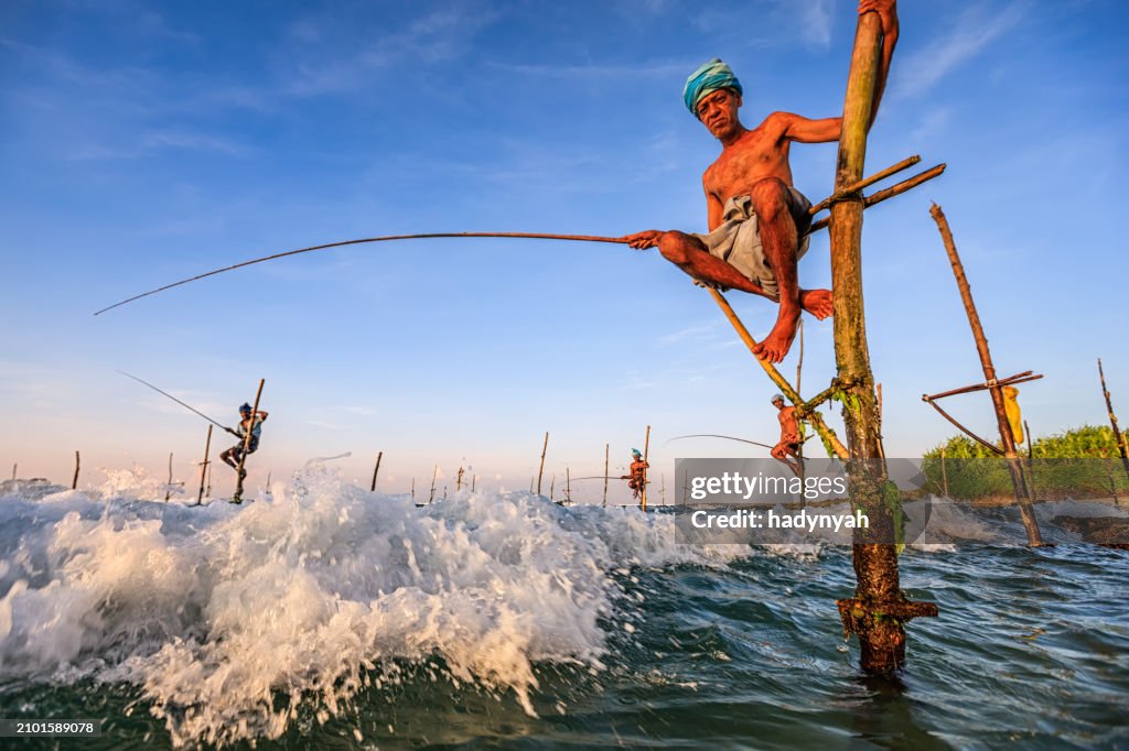 The stilt fishermen at work, Sri Lanka, Asia