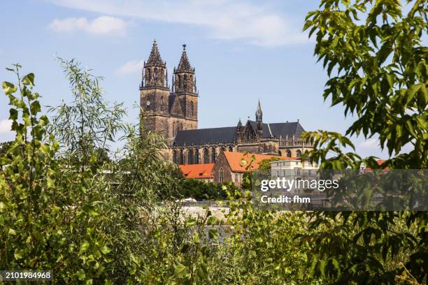 magdeburg cathedral (saxony-anhalt/ germany) - magdeburg stock pictures, royalty-free photos & images