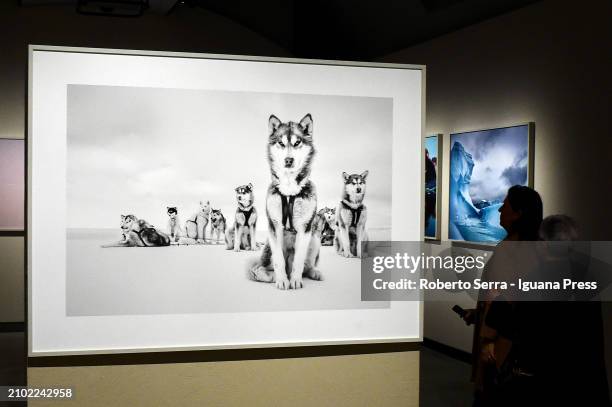 Visitors admires the masterpieces by Mexican photographer and artist Cristina Goettsch Mittermeier part of the exhibition "Cristina Mittermeier, La...