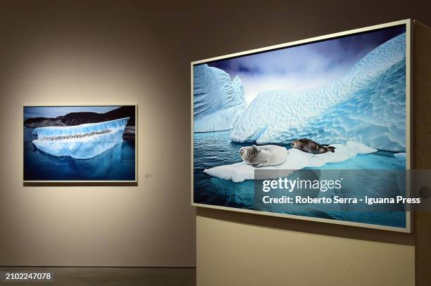 General view of the masterpieces by Mexican photographer and artist Cristina Goettsch Mittermeier part of the exhibition "Cristina Mittermeier, La...