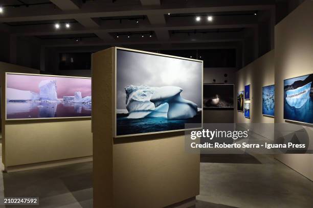 General view of the masterpieces by Mexican photographer and artist Cristina Goettsch Mittermeier part of the exhibition "Cristina Mittermeier, La...