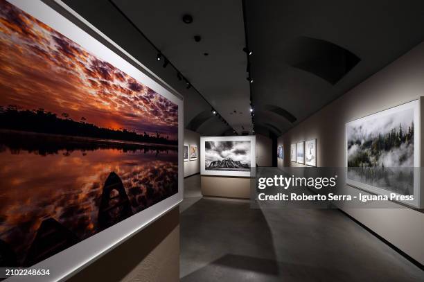 General view of the masterpieces by Mexican photographer and artist Cristina Goettsch Mittermeier part of the exhibition "Cristina Mittermeier, La...