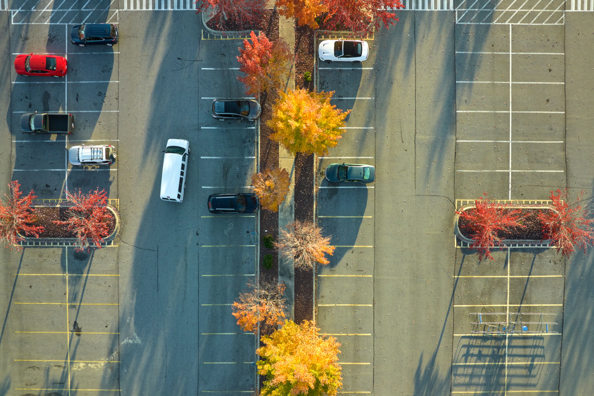 autumn parking lot