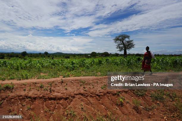 Woman walks along an embankment in the Balaka district of Malawi. Picture date: Wednesday March 6, 2024.