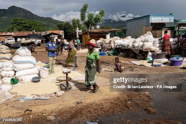 Traders sell maize on the side of a main road in the Machinga district of Malawi. Trocaire is training farmers in new diverse crops that can tolerate...