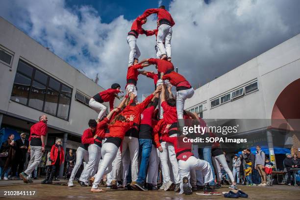 Two performers climb on the side to the top of the human tower during the performance. Castell means in Catalan literally castle. Castellers are...