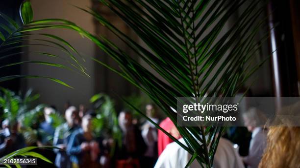 Faithful are participating in the Palm Sunday solemnities at the Se Cathedral in Sao Paulo, Brazil, on March 24, 2024.