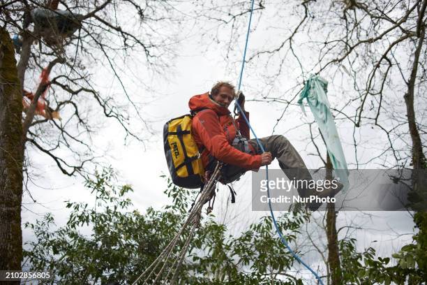 Reva is climbing down from Majo, a plane tree he has occupied for 37 days. After spending 37 days in the trees, the last three 'Ecureuils' who have...